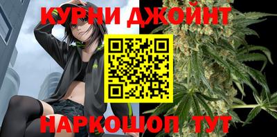 стаф Сланцы