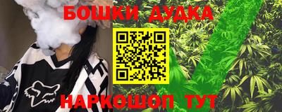 индика Ставрополь