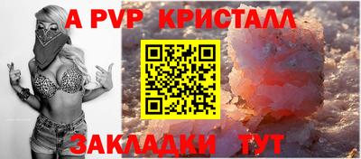 индика Ставрополь