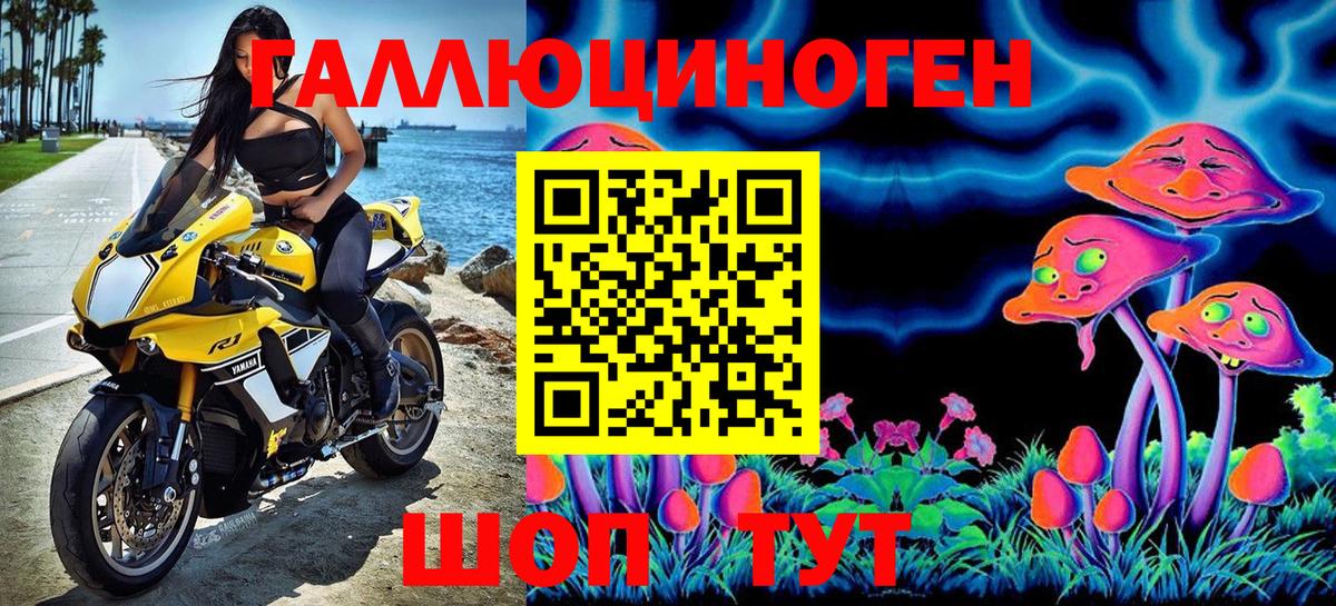 Псилоцибиновые грибы Psilocybe Новоалександровск