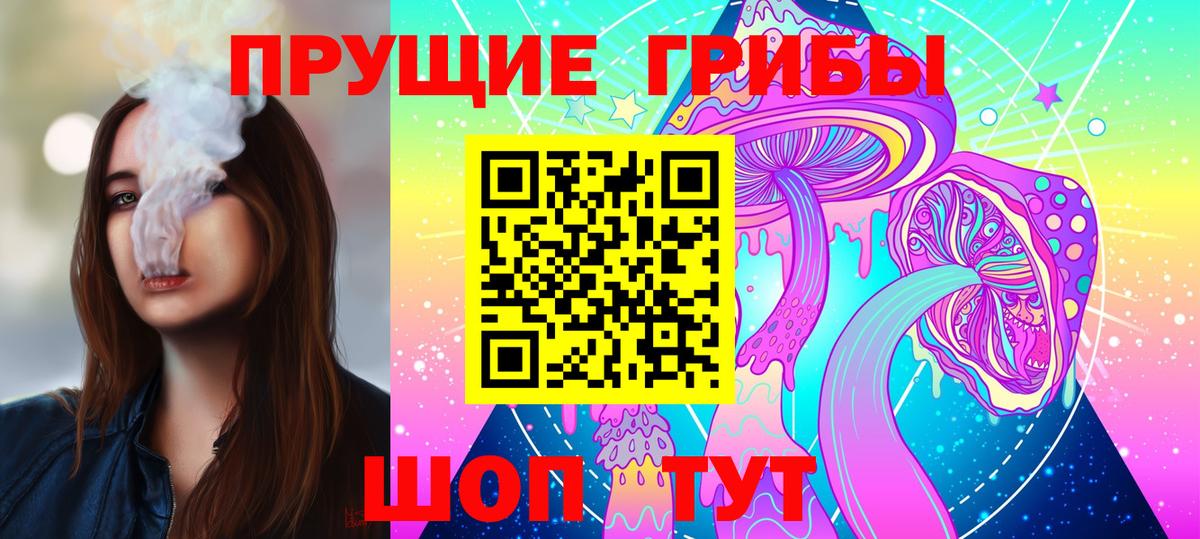 Новоалександровск  Галлюциногенные грибы ЛСД  Вход с VPN  Псилоцибиновые грибы мицелий 